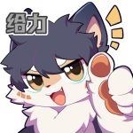 小狐狸荼荼-幻兽次元 Unifurry
