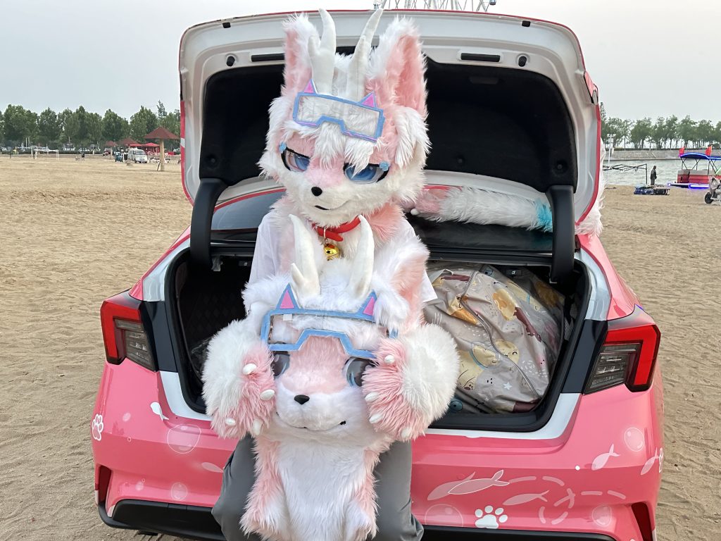 图片[7]-自设估价-幻兽次元 Unifurry
